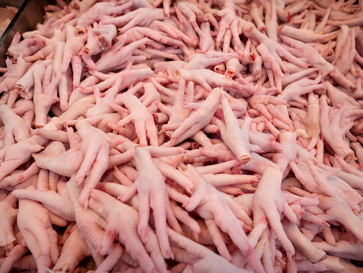 Chicken Feet - Grade A Export Quality